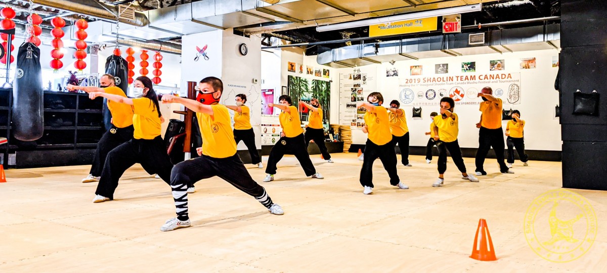 /assets/image/STQI-Toronto-Downtown-Shaolin-Kung-Fu-Classes-Indoors-20210718-162-7kya.jpg