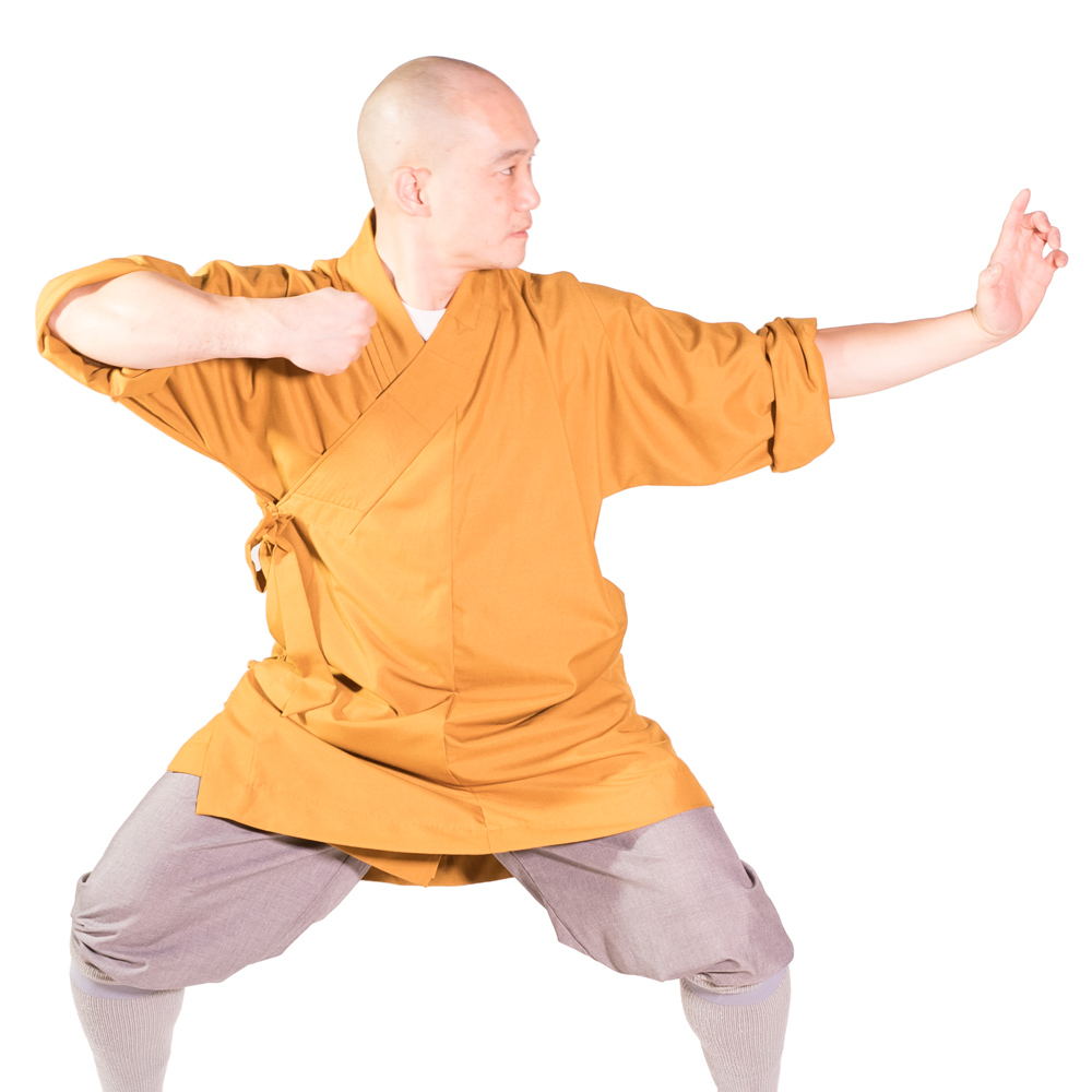 /assets/image/Virtual-Qigong-Classes-LS-2000px-162-qIoH.jpg